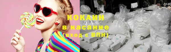 шишки Пенза