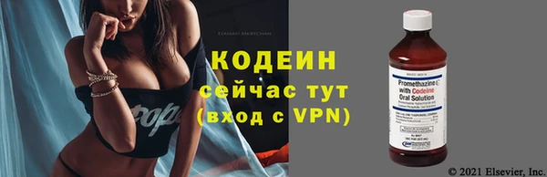 шишки Пенза