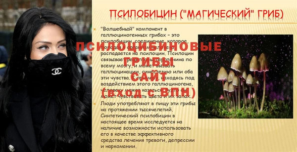 МДПВ Балашиха