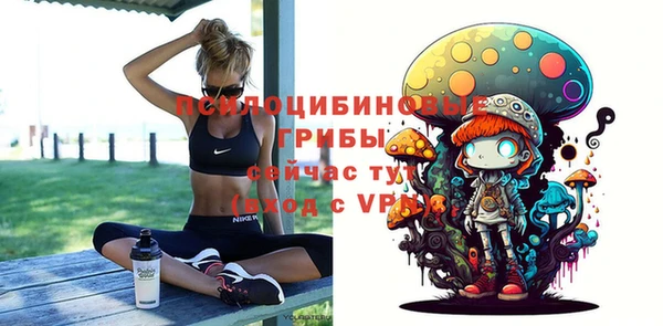 крисы Киров