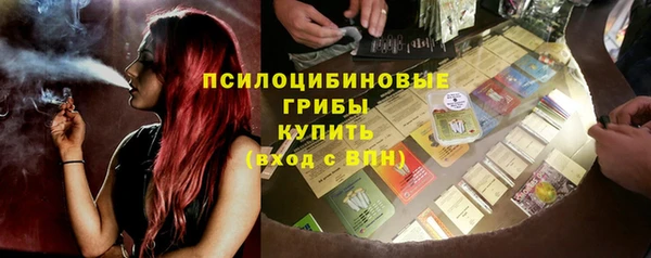 стафф Лабытнанги
